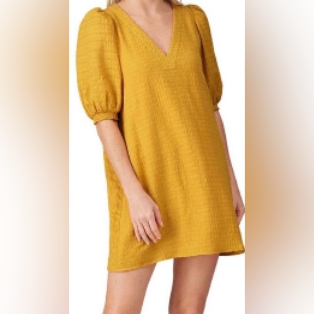 BB DAKOTA by STEVE MADDEN Fields of Gold Mini Shift Dress S (2-4) NWT